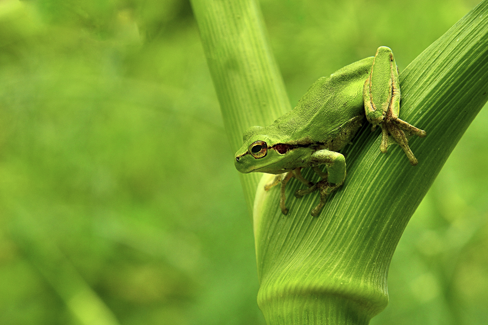 Platz 3 Franz Mueller
